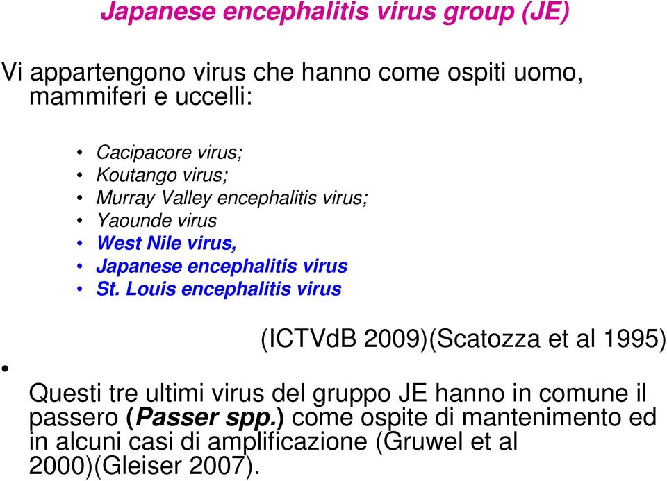 encephalitis virus St.