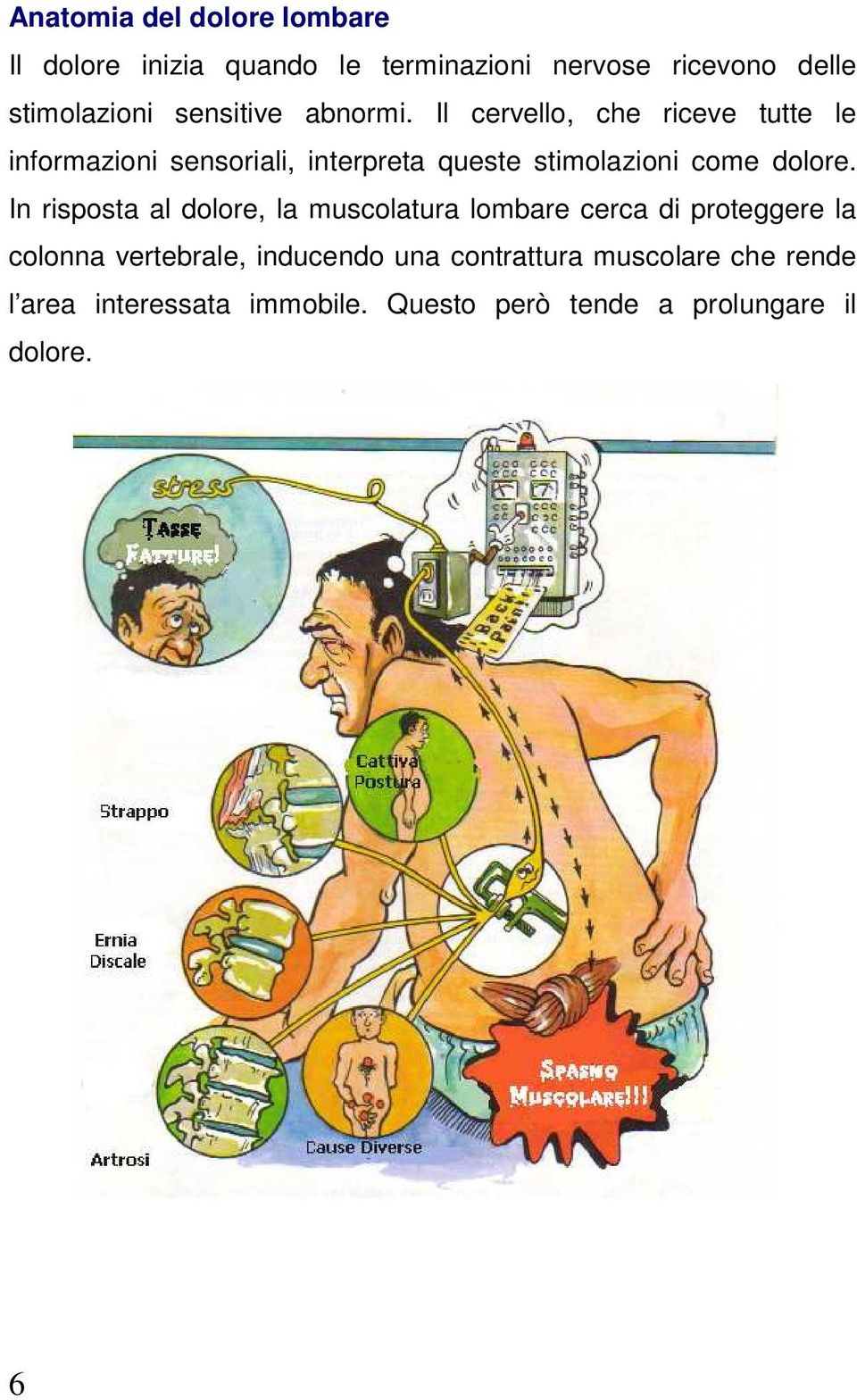 Il cervello, che riceve tutte le informazioni sensoriali, interpreta queste stimolazioni come dolore.