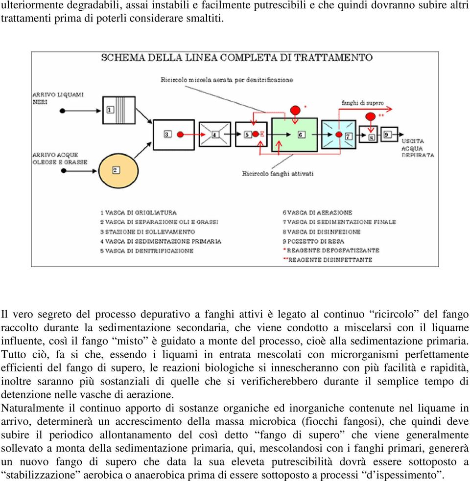 influente, così il fango misto è guidato a monte del processo, cioè alla sedimentazione primaria.