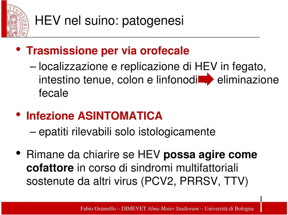 ASINTOMATICA epatiti rilevabili solo istologicamente Rimane da chiarire se HEV possa