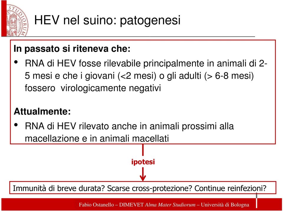 virologicamente negativi Attualmente: RNA di HEV rilevato anche in animali prossimi alla