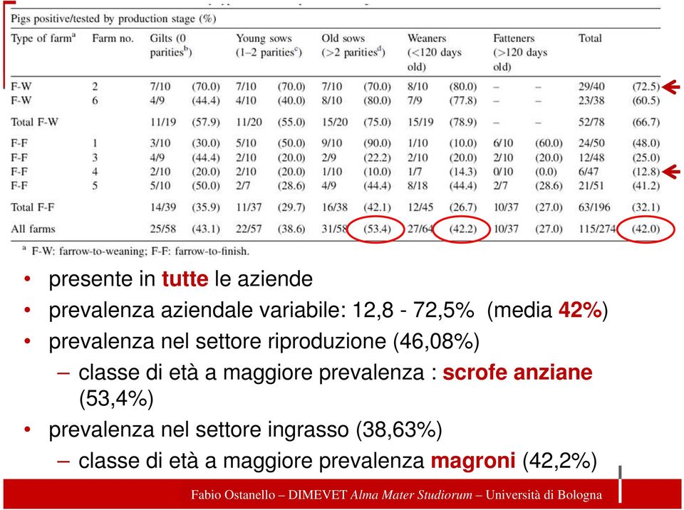 classe di età a maggiore prevalenza : scrofe anziane (53,4%)