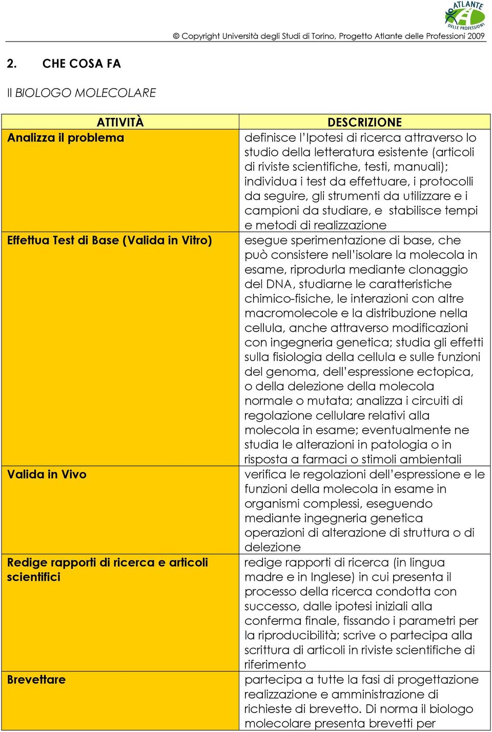 strumenti da utilizzare e i campioni da studiare, e stabilisce tempi e metodi di realizzazione esegue sperimentazione di base, che può consistere nell isolare la molecola in esame, riprodurla