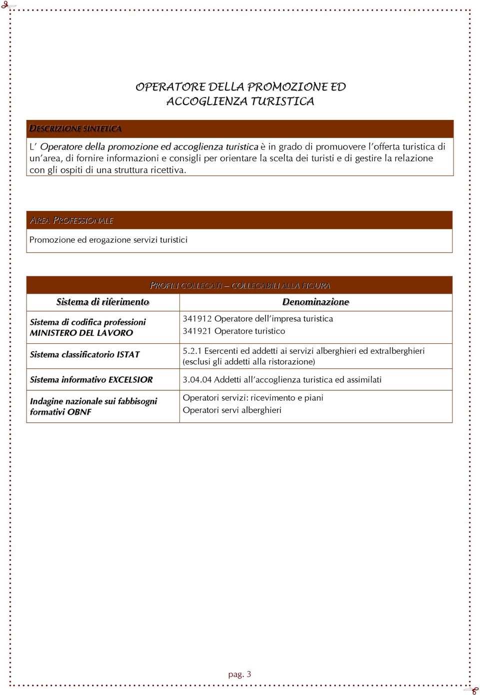 AREA PROFESSIONALE Promozione ed erogazione servizi turistici SSi isst teemaa ddi i rri ifeerri imeennt too Sistema di codifica professioni MINISTERO DEL LAVORO PROFILI COLLEGATI COLLEGABILI ALLA