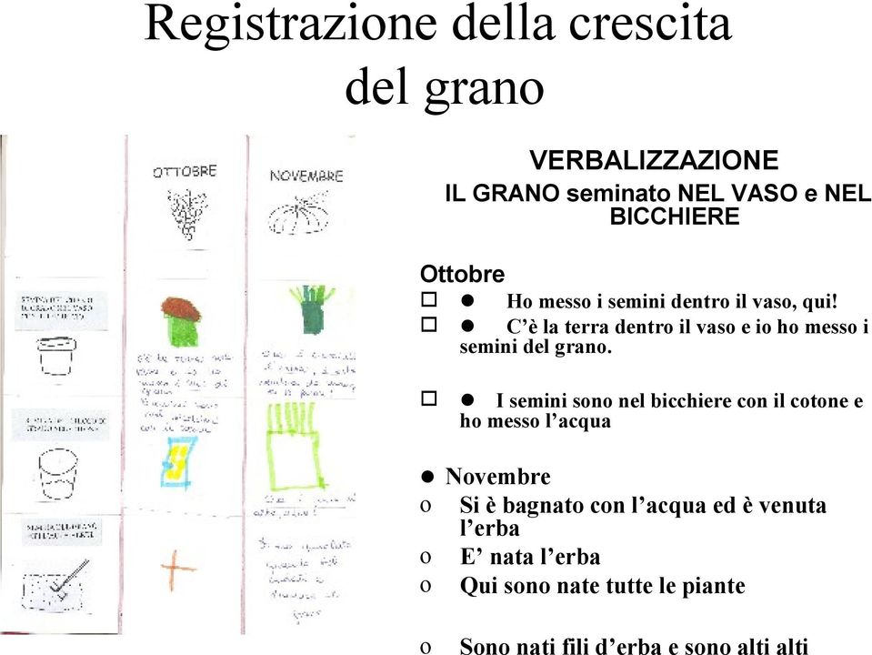 C è la terra dentro il vaso e io ho messo i semini del grano.