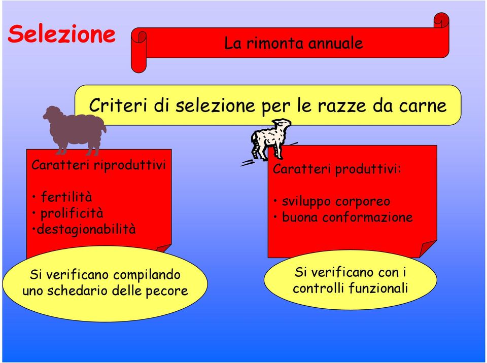 produttivi: sviluppo corporeo buona conformazione Si verificano