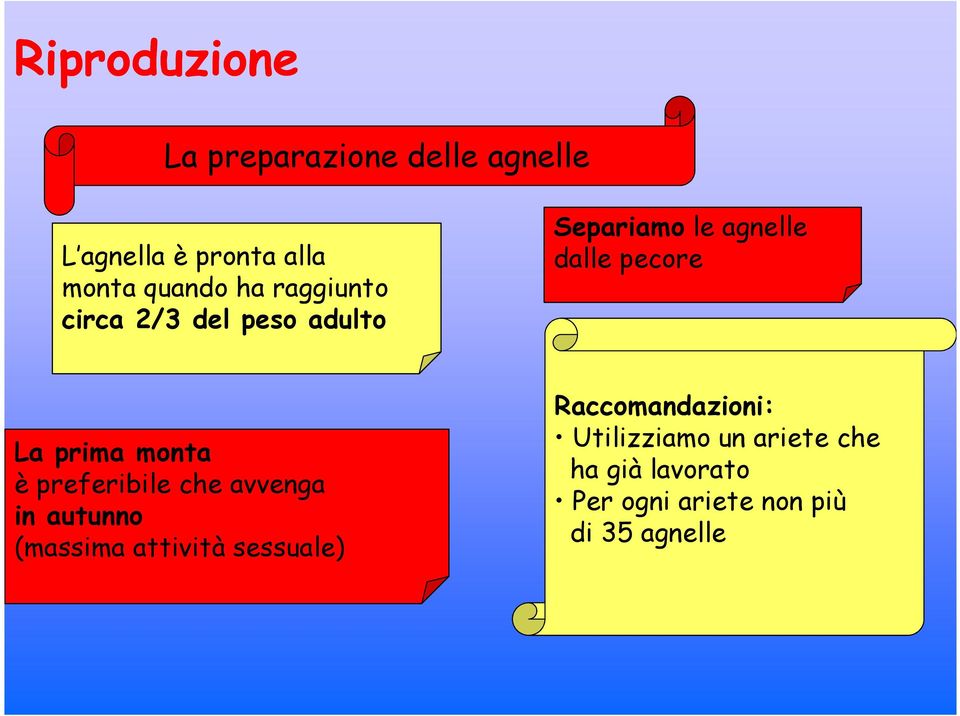 monta è preferibile che avvenga in autunno (massima attività sessuale)