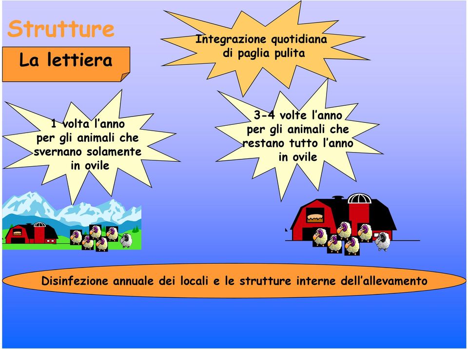 volte l anno per gli animali che restano tutto l anno in ovile