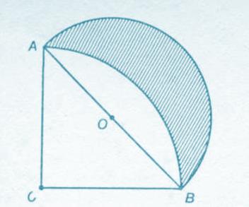 Calcolo l area del semicerchio di diametro AC, che è uguale a quella del semicerchio di diametro DB : Calcolo l area del semicerchio di diametro DC: Calcolo l area della saliera: QUESITO N 7 Calcolo