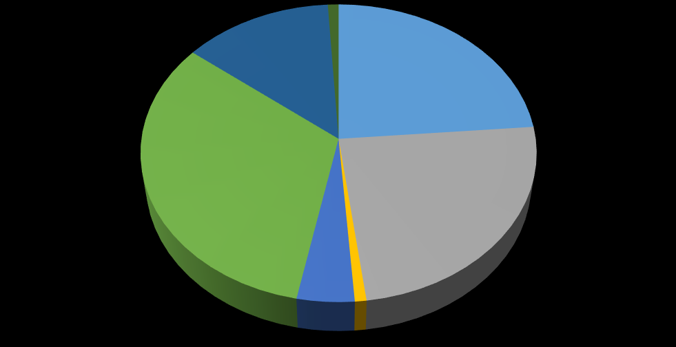 EMISSIONI DI CO 2 e (t) - per Categoria Indicate qui le altre emissioni del vostro comune Gestione delle acque reflue Smaltimento dei rifiuti 0 0 0 Trasporti privati e commerciali 16.