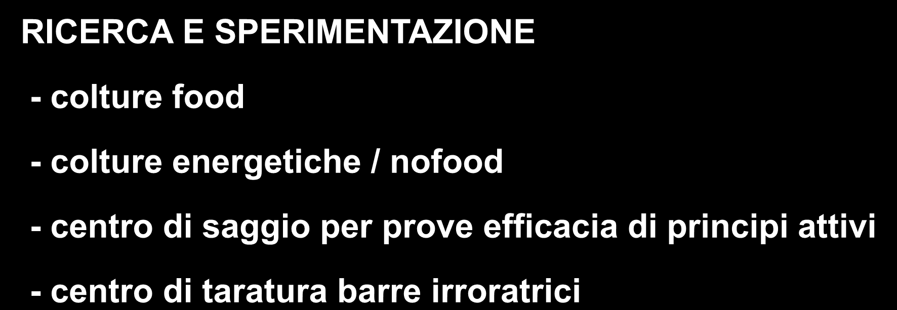 Chi è BETA e quali attività svolge?