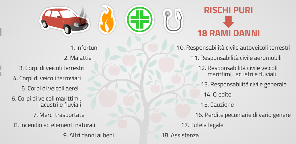 La classificazione in rami Danni In Italia i rischi puri o rischi DANNI sono classificati sotto 18