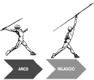 fase aciclica TECNICA DEL LANCIO DEL GIAVELLOTTO FINALE DI LANCIO fase di lancio - doppio appoggio - arco - rilascio dell attrezzo INIZIO: appoggio della gamba di puntello