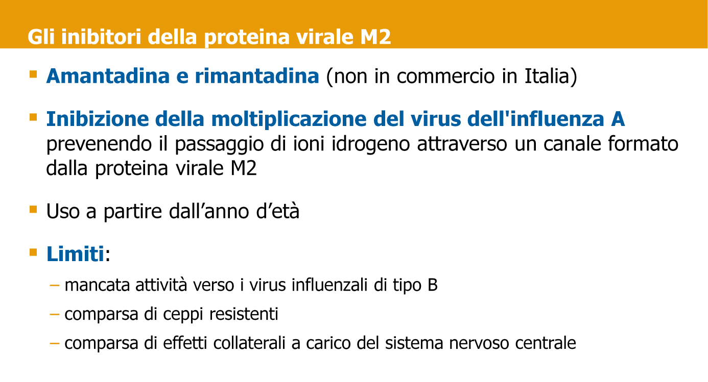 Le due categorie di antivirali sono gli inibitori della M2 o derivati delle amantadine (amantadina e rimantadina, quest ultima non in commercio in Italia) e gli inibitori della neuraminidasi.