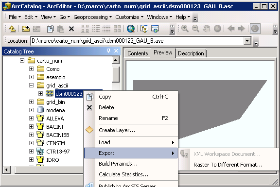 esempi di conversione di formato tasto dx