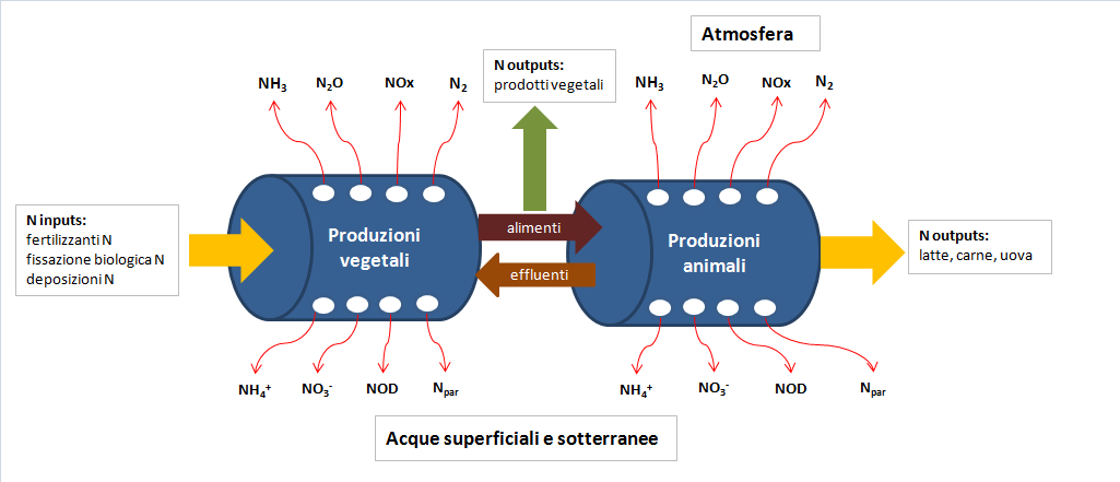 Il tubo che perde Acidificazione e eutrofizzazione suoli,