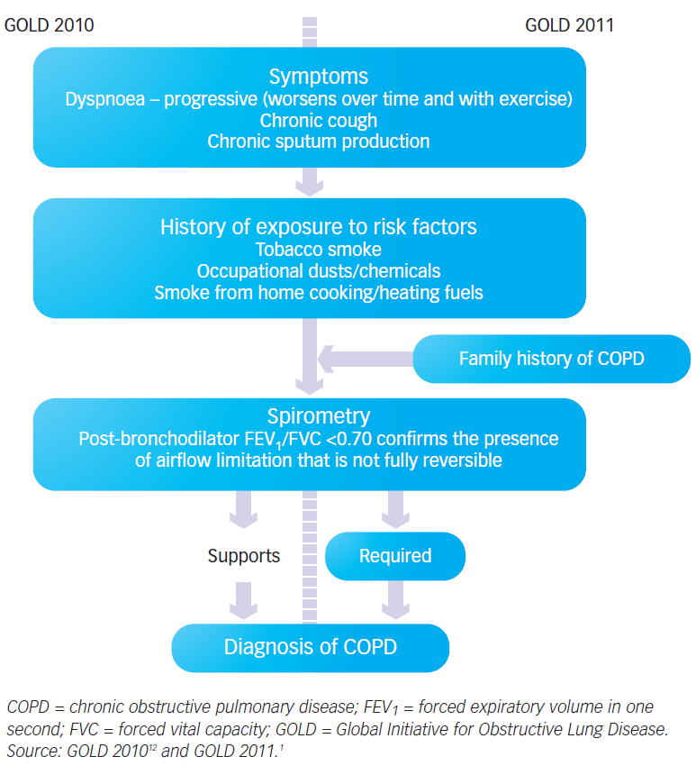 La centralità della spirometria nella diagnosi di BPCO.Importantly, spirometry is no longer recommended to support a diagnosis of COPD. Instead, spirometry is required for making a diagnosis of COPD.