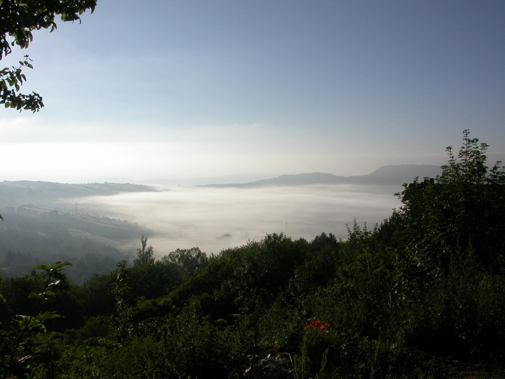 NEBBIA DI FONDO