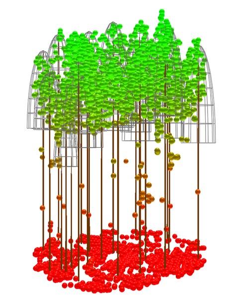 Il dato LiDAR First X Last Segnale Energia