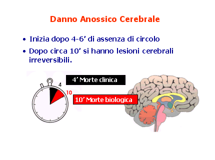 La prima rianimazione e la defibrillazione precoce (entro 1-2 minuti) potrebbero incrementare di oltre il 60% la sopravvivenza, poichè ogni