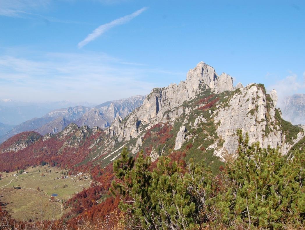 Prealpi n Alpi Quota media di nidificaz. (m): Prealpi 1277 ± 66; Alps 1629 ± 55 % area boscate nei territori di caccia: Prealpi 54.
