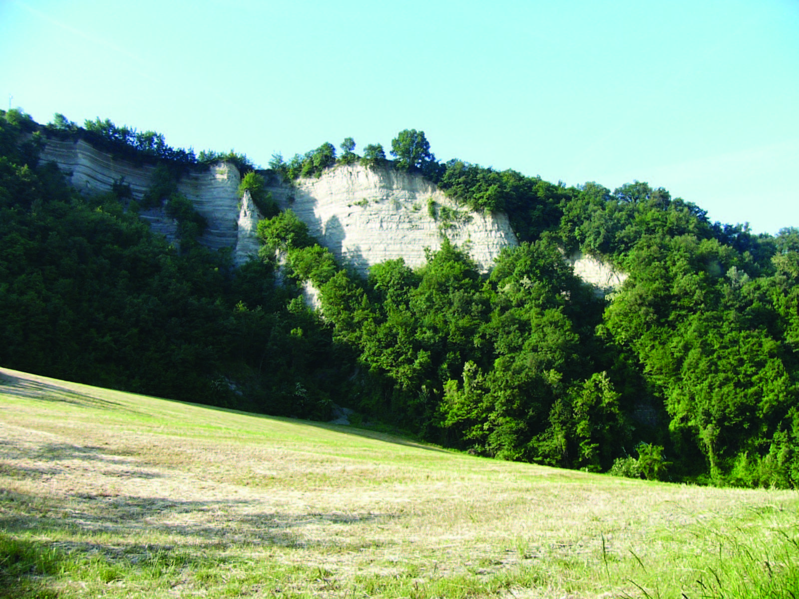 ATTIVITÁ DIDATTICHE nel PARCO NAZIONALE DELLE FORESTE CASENTINESI MONTE FALTERONA E CAMPIGNA PN3 PICCOLI FOLLETTI DEGLI ALBERI Approfondire la conoscenza (morfologia, abitudini, dieta, habitat, )