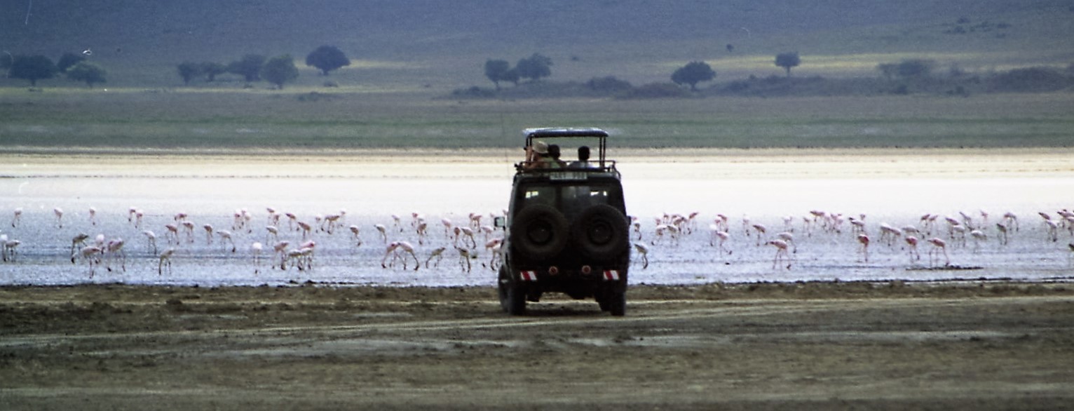 La quota comprende: Fotosafari a bordo di fuoristrada 4x4, tipo Toyota Landcruiser ad uso privato Guida/ranger parlante italiano ad uso privato Accompagnatrice esperta d animali a nostro uso