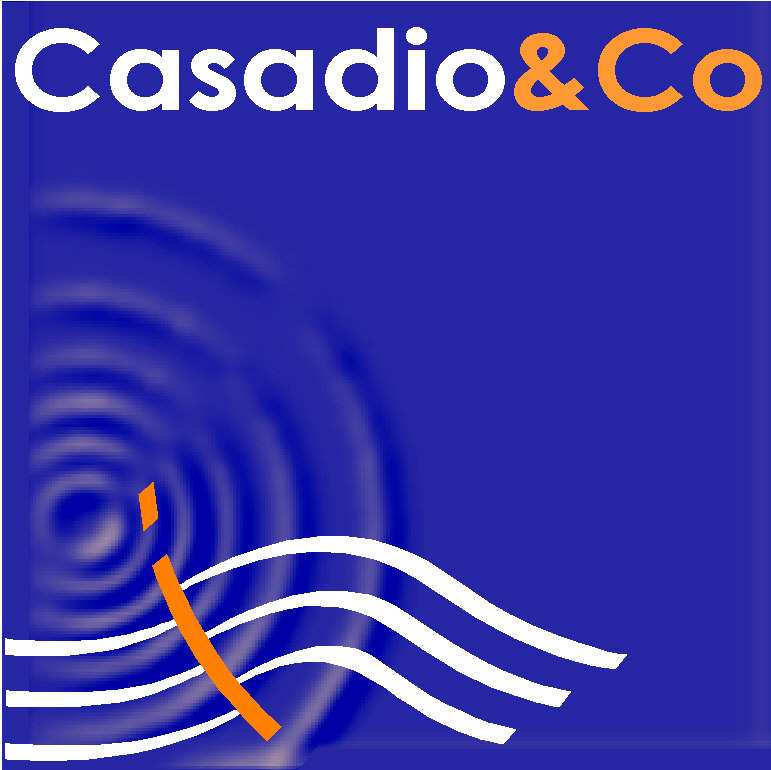 CASADIO & CO. Studio Tecnico Associato di Casadio e Zaffagnini Viale Vittorio Veneto 1/bis - 47100 Forlì Tel/Fax 0543/23923 Email studio@casadioeco.it www.casadioeco.it P.I. 03480110406 APPROFONDIMENTI SUL TRAFFICO INDOTTO E IMPATTO ATMOSFERICO INTEGRAZIONE Committente: Elettra s.