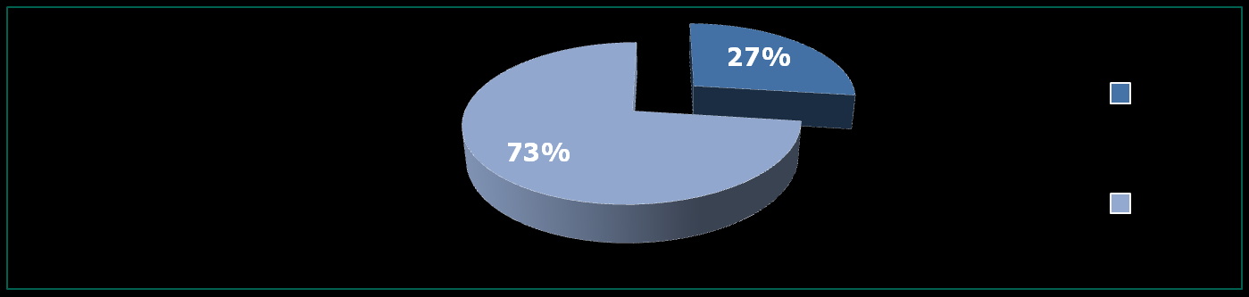 Risultati: Analisi delle variabili in studio VARIABILI SOCIO-DEMOGRAFICHE SCALE Badante Numero pazienti ADL I soggetti assistiti da un caregiver formale presentano un