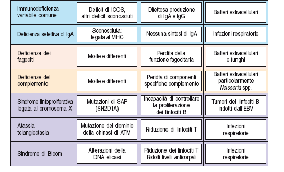 7 Atassia-telangiectasia, prototipo XCIND syndrome disorders: X-ray sensitivity, Cancer