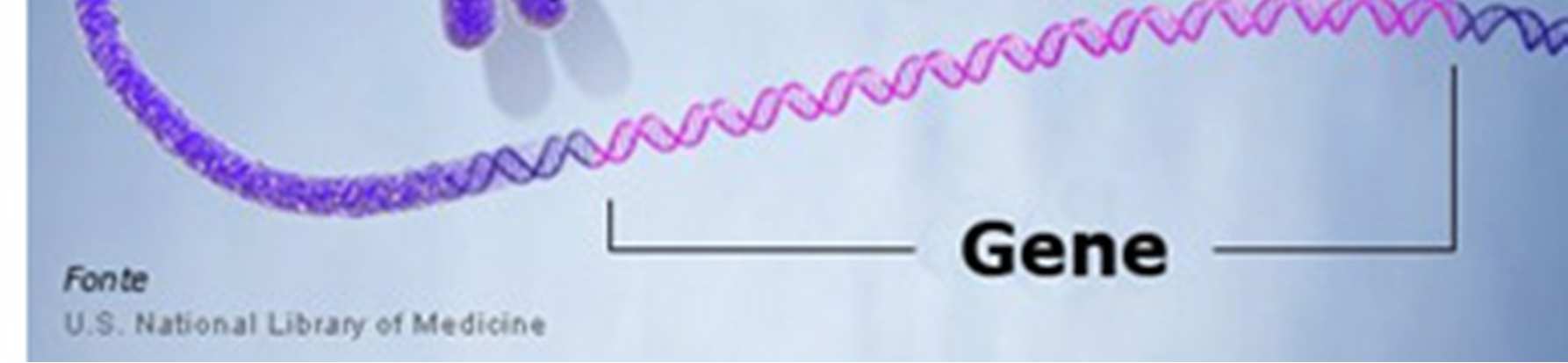 L adenina si lega solo con la timina e la citosina si lega solo con la guanina (A-T, C-G). Si dice che le basi A-T e C-G sono complementari. http://www.youtube.com/watch?