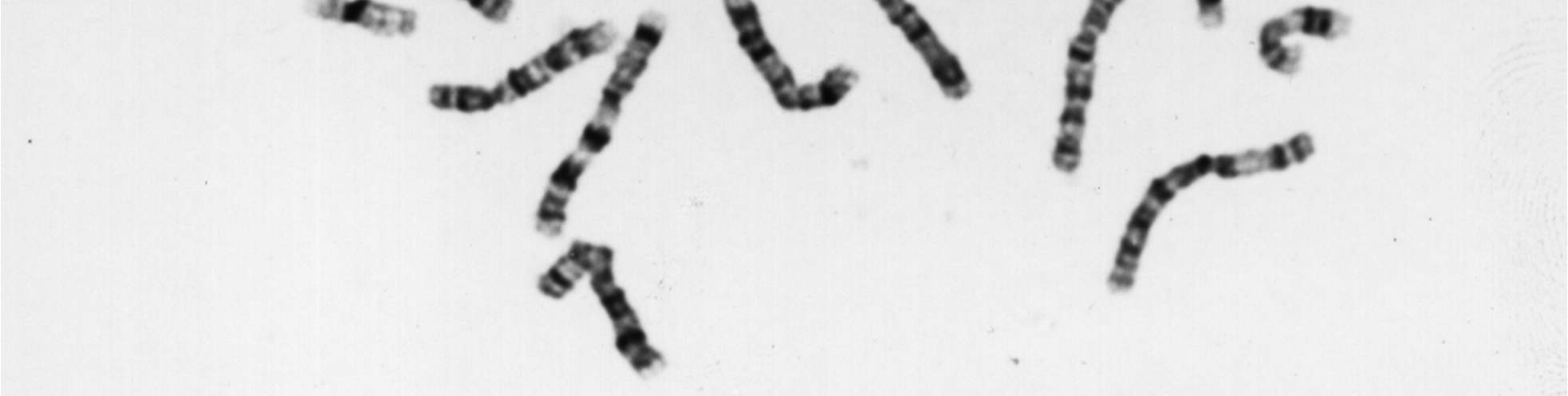 org/nobel_prizes/medicine/l aureates/1962/ (sito ufficiale dei premi Nobel) Un fondamentale contributo alla scoperta della struttura del DNA è stato dato dalla fisica inglese Rosalind Franklin che