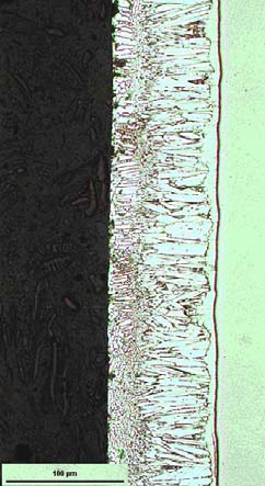 Le prove di piegatura sono state eseguite tramite una attrezzatura non standardizzata (fig. 1, a sinistra) e sono state ripetute tre volte per ogni condizione di rivestimento.