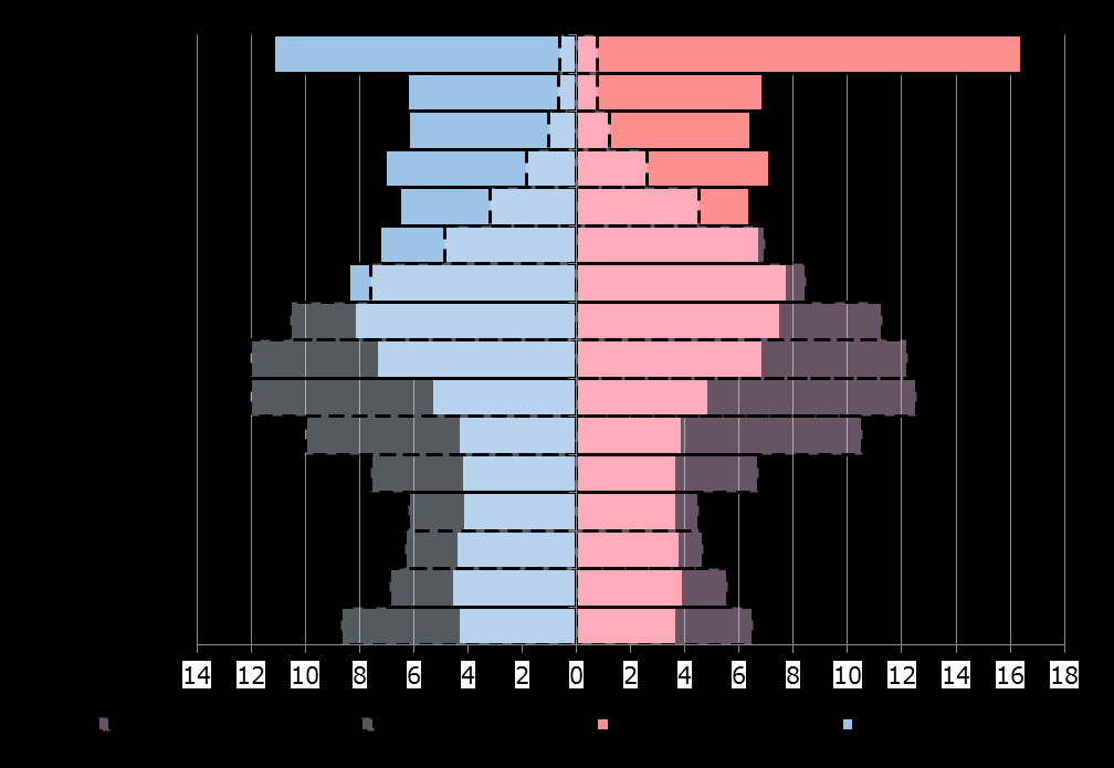 Caratteristiche socio demografiche Gli individui Struttura della popolazione italiana e straniera per classi di età Nel 2011 le donne