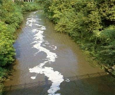 L inquinamento dei corsi d acqua La contaminazione rilevata in molti corsi d acqua è un fattore di notevole importanza per spiegare la grande diffusione nell ambiente di questa contaminazione.