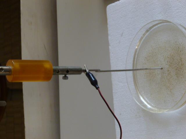 LINEE DI CAMPO (1) Per visualizzare le linee di campo elettrico abbiamo utilizzato del pepe, precedentemente «filtrato» con un