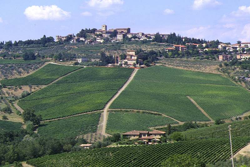 La vite e il vino in