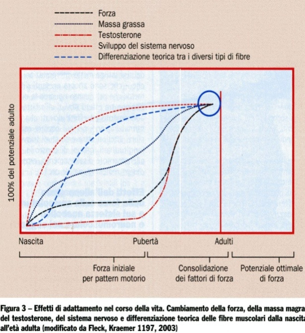 OSSERVAZIONI E RIFERIMENTI BIOLOGICI ALLE LINEE GUIDA.