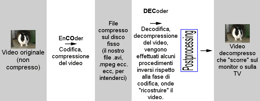 la sequenza di immagini (video) archiviandola in un file ed un Decoder
