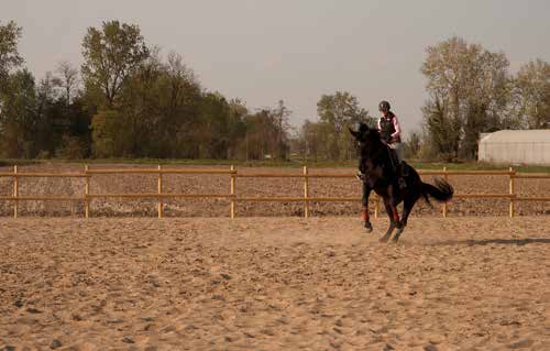 SANTA MARTA OFFRE SERVIZI COME: PUNTO VENDITA MANEGGIO SCUOLA DI EQUITAZIONE, PASSEGGIATE A CAVALLO, CORSI DI IPPOTERAPIA E PENSIONE PER I CAVALLI. GRAZIE!