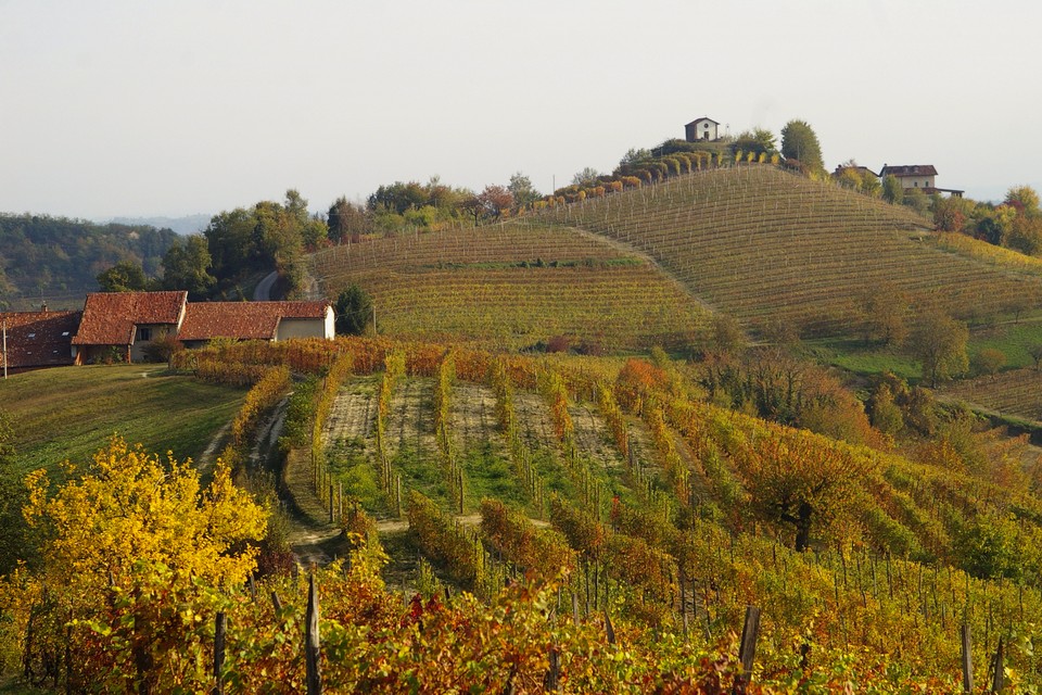 I PAESAGGI DELL ALTO ASTIGIANO: UN ESEMPIO POSITIVO PER ALTRI TERRITORI ITALIANI MARCO DEVECCHI Presidente dell Osservatorio del Paesaggio per il Monferrato e l Astigiano