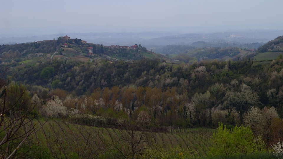 Il paesaggio diverrà sempre più l elemento essenziale di un nuovo turismo legato alle tipicità ambientali e alle eccellenze enogastronomiche.