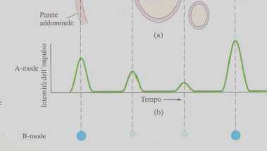 L impulso riflesso viene rivelato dallo stesso trasduttore trasforma