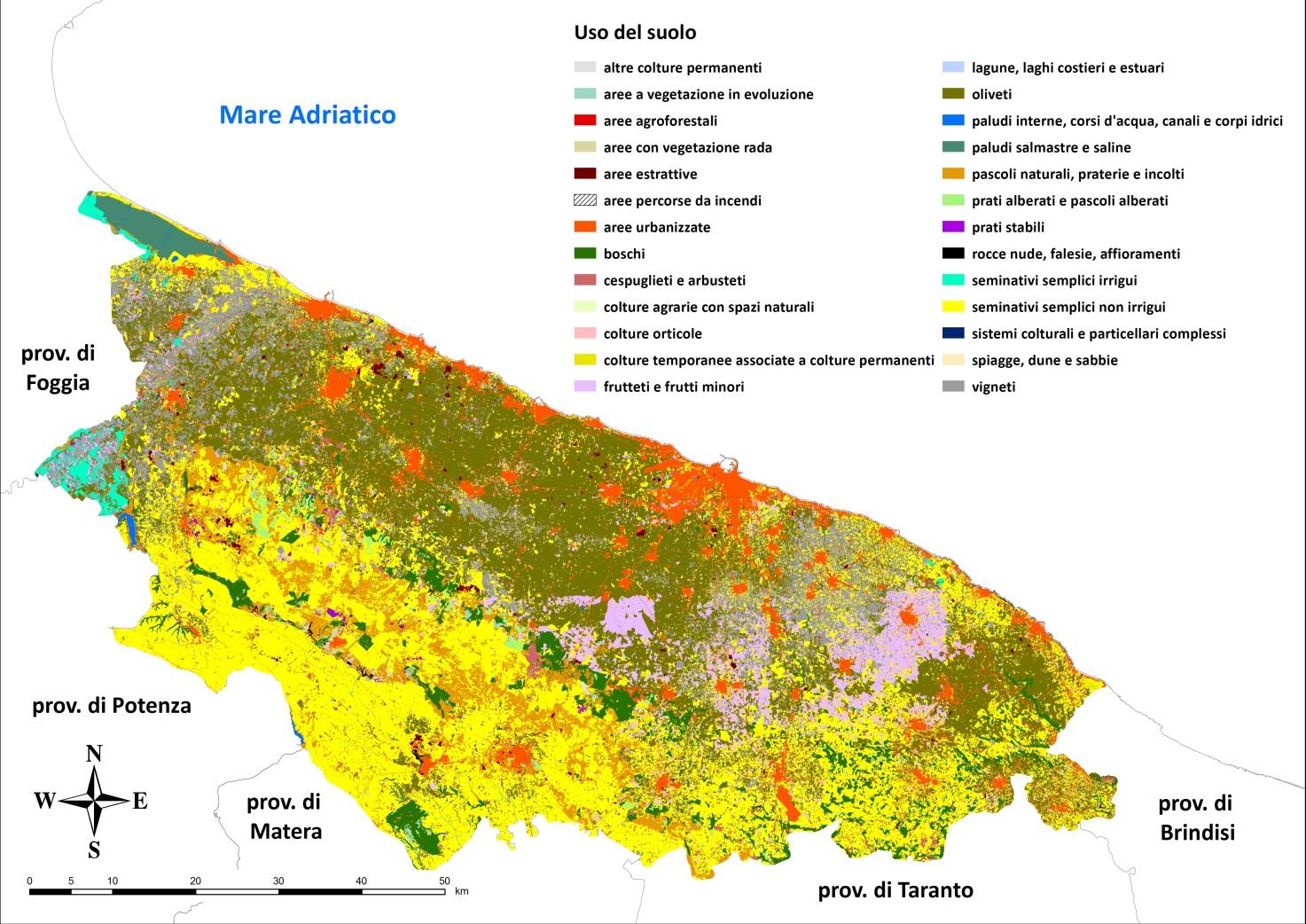L uso del suolo dell Ambito Territoriale di Caccia Bari/BT è caratterizzato soprattutto da seminativi semplici non irrigui (32.4%) e da oliveti (27.6 %). I vigneti rappresentano l 8.