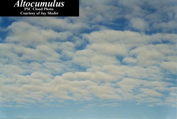 Altocumuli Si presentano come banchi di nuvolette, a forma di fiocchi o balle, di colore