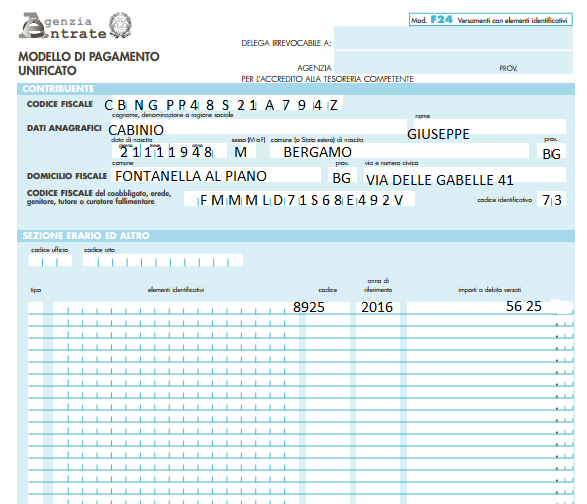 CODICE FISCALE DEL CONTRIBUENTE ED ELEMENTO DATI DEL PROFESSIONISTA/CAF