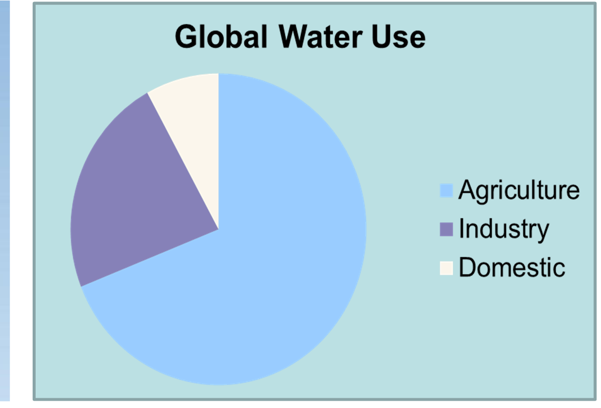 Utilizzo dell acqua Gli esseri umani usano circa il 54% dell acqua