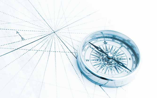 I Q U A T T R O C A R D I N I D E L L A C T I V E M A S T E R Analisi preliminare con FOCUS MEETING In questa fase del programma formativo Il consulente PI.