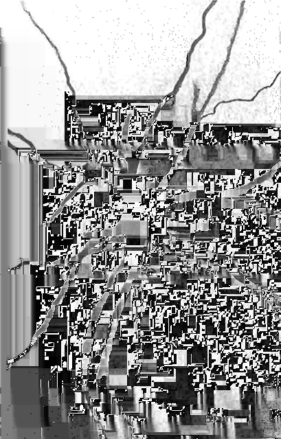 2.3. I CANALI IONICI Figura 2.6: Microfotografia con mezzo di contrasto di dendriti e assone. Figura 2.7: Contatti presinaptici localizzati sui dendriti (frecce).