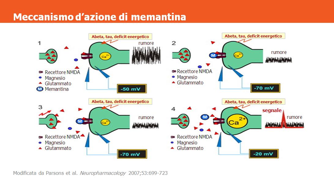 Questo schema illustra il meccanismo d azione di memantina, che blocca il recettore NMDA legandosi ad esso come antagonista non competitivo.